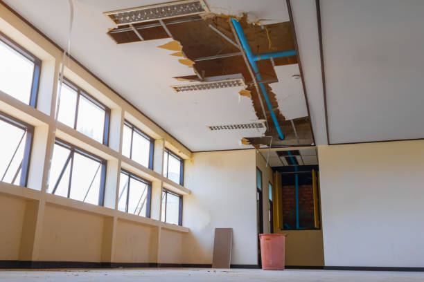 Best Professional water damage repair  in White Meadow Lake, NJ