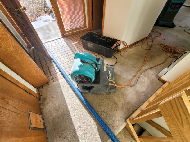  White Meadow Lake, NJ Water damage restoration Pros