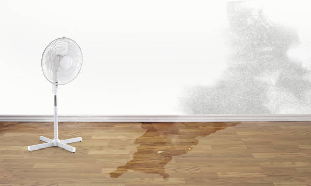 Best Water damage restoration near me  in White Meadow Lake, NJ