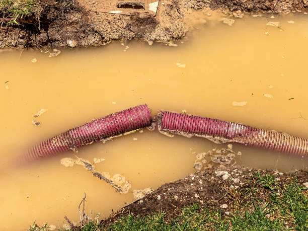 Best Water damage restoration near me  in White Meadow Lake, NJ